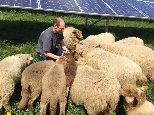 Sämann Stein und Kieswerke | Illingen hats